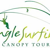 Jungle Surfing Canopy Tours and Jungle Adventures Nightwalks - Gold Coast Attractions