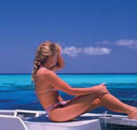 Mike Ball Dive Expeditions - Gold Coast Attractions