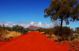 Pandanus Aboriginal Art Gallery - Gold Coast Attractions 1