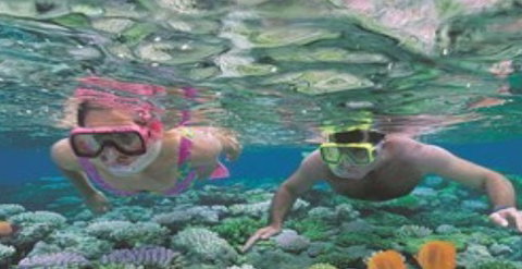 Quicksilver Cruises - Gold Coast Attractions 2