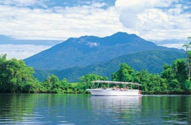 Reef And Rainforest Connections - Gold Coast Attractions 2