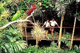 Reef And Rainforest Connections - Gold Coast Attractions 4
