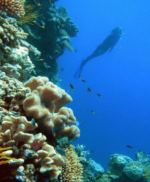 Westcourt QLD Gold Coast Attractions