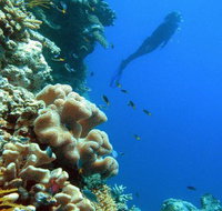 Reef Magic Cruises - Gold Coast Attractions