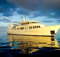 Spirit Of Freedom - Gold Coast Attractions
