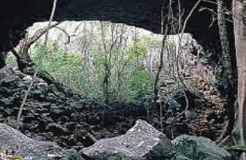 Undara Experience - Gold Coast Attractions 2