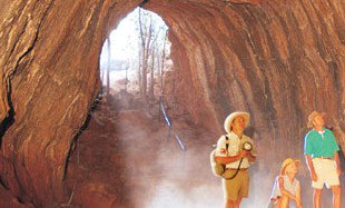 Undara Experience - Gold Coast Attractions 3