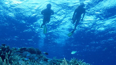 Air Whitsunday Day Tours - Gold Coast Attractions 1