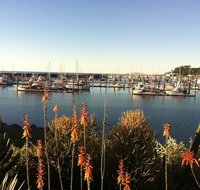 Mantaray Charters - Gold Coast Attractions