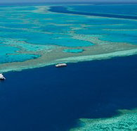 Cruise Whitsundays - Gold Coast Attractions