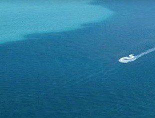 Adventure Moreton Island - Gold Coast Attractions 0