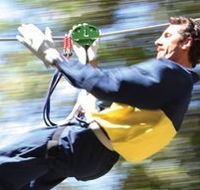 Adventure Parc - Gold Coast Attractions