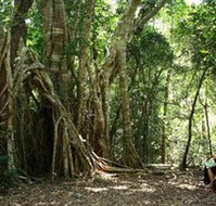 The Airlie Creek Track - Gold Coast Attractions