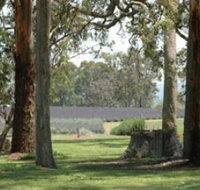 Aloomba Lavender - Gold Coast Attractions