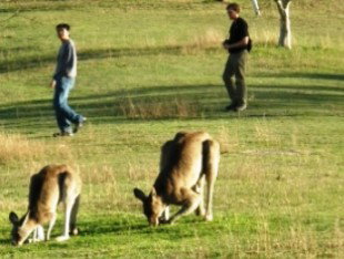 Southbrook QLD Gold Coast Attractions