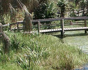 Australia Fraser Island Escape - Gold Coast Attractions 1