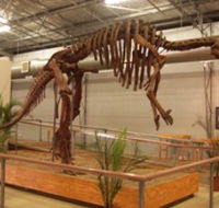 Australia's Dinosaur Trail - Gold Coast Attractions