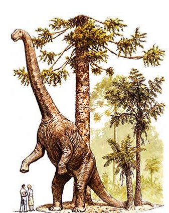 Australian Age Of Dinosaurs - Gold Coast Attractions 2