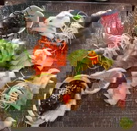 Toshi's Japanese Restaurant - Gold Coast Attractions