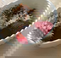 Goje - Gold Coast Attractions