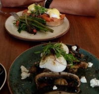 Brew - Gold Coast Attractions