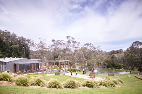 Green Olive At Red Hill - Gold Coast Attractions 0