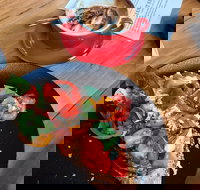 Habituel - Gold Coast Attractions