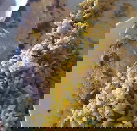 Horsham Masala Indian Restaurant - Gold Coast Attractions