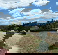 Dominique Portet - Gold Coast Attractions