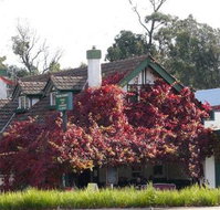 Fetching Treasures - Gold Coast Attractions