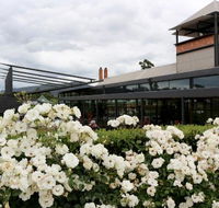 Isabella's Restaurant at Rochford Wines - Gold Coast Attractions