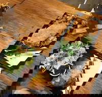 Two Little Owls Cafe - Gold Coast Attractions