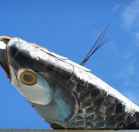 Fish Creek Hotel Motel - Gold Coast Attractions