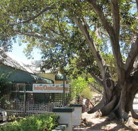 The Season Tree - Gold Coast Attractions