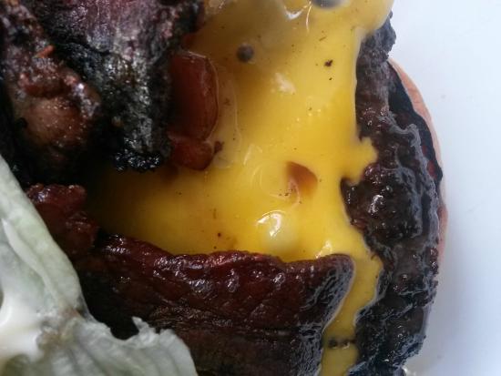 North Sydney NSW Gold Coast Attractions