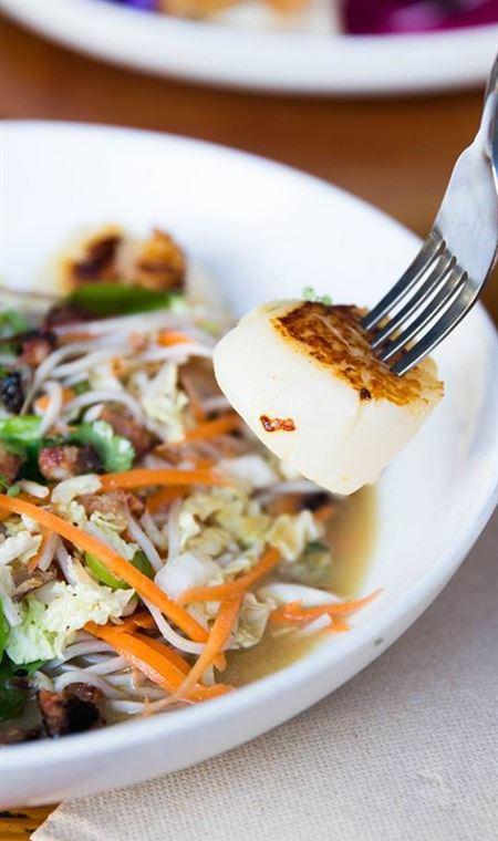 Brighton Soul Espresso - Gold Coast Attractions 4