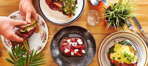 The Blue Poppy - Gold Coast Attractions 0