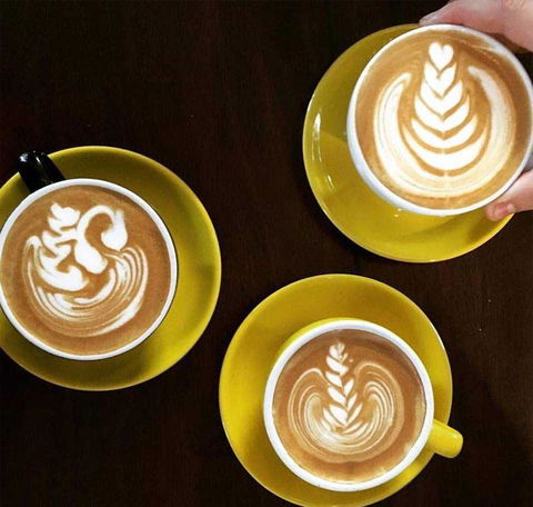 The Blue Poppy - Gold Coast Attractions 8