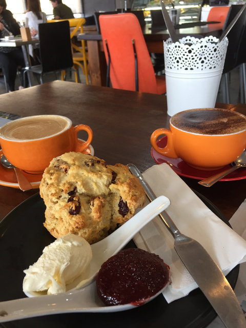 More Cafe - Gold Coast Attractions 1