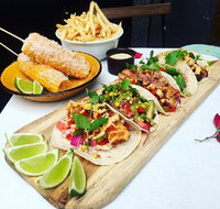 Chihuahua - Gold Coast Attractions