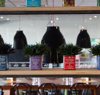 Collegians Balgownie - Gold Coast Attractions