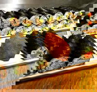 Freewave Sushi  Burgers - Gold Coast Attractions