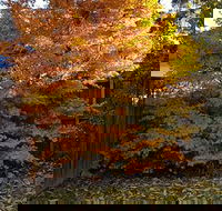 Stella Kitchen Chinese Take Away - Gold Coast Attractions