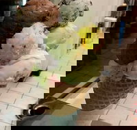 The Natural Waffle Ice Cream Parlour - Gold Coast Attractions