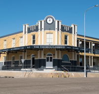 The Thoroughbred - Gold Coast Attractions