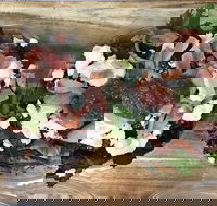 Riverside Co - Gold Coast Attractions