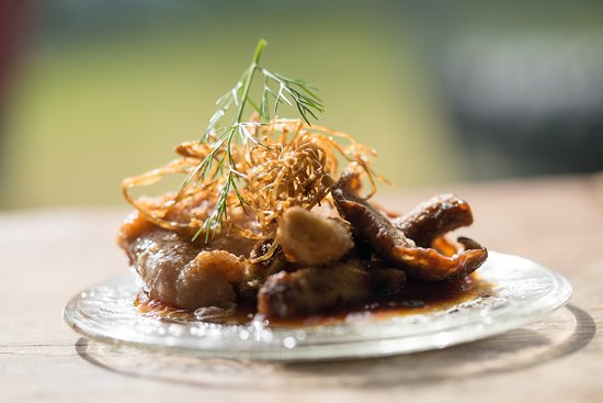 Berrima NSW Gold Coast Attractions