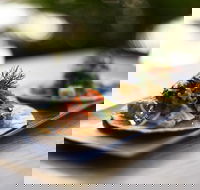 Morks - Gold Coast Attractions