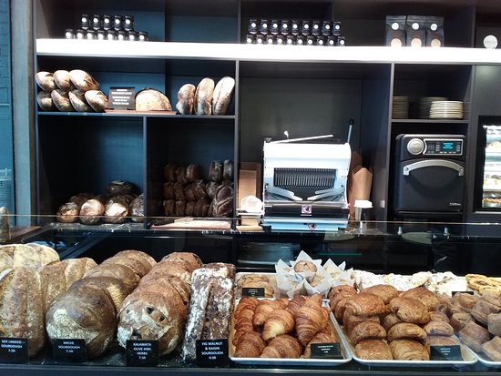 Woollahra NSW Gold Coast Attractions