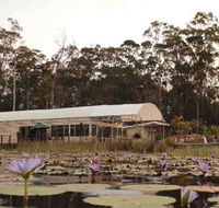 Abundance Cafe and Garden Centre - Gold Coast Attractions